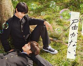 泰州seo排名怎么样